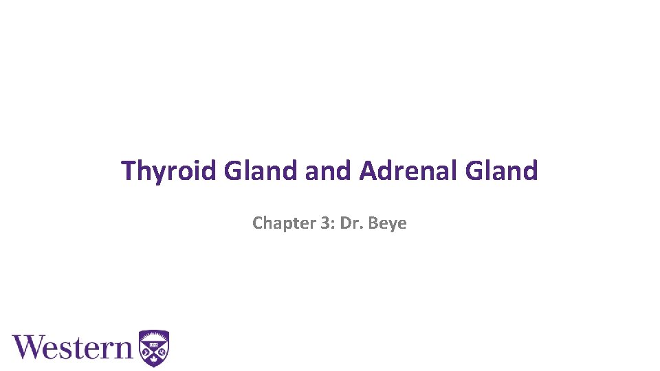 Thyroid Gland Adrenal Gland Chapter 3: Dr. Beye 