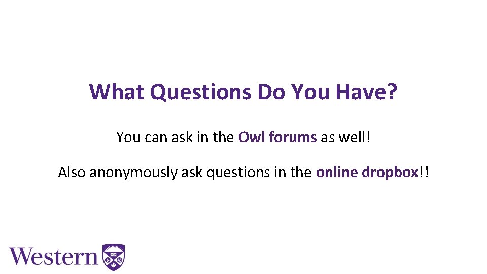 What Questions Do You Have? You can ask in the Owl forums as well!