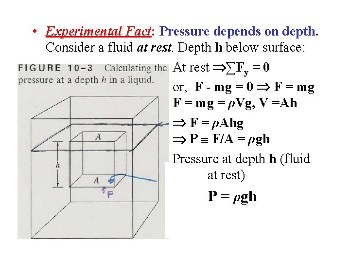  • Experimental Fact: Pressure depends on depth. Consider a fluid at rest. Depth