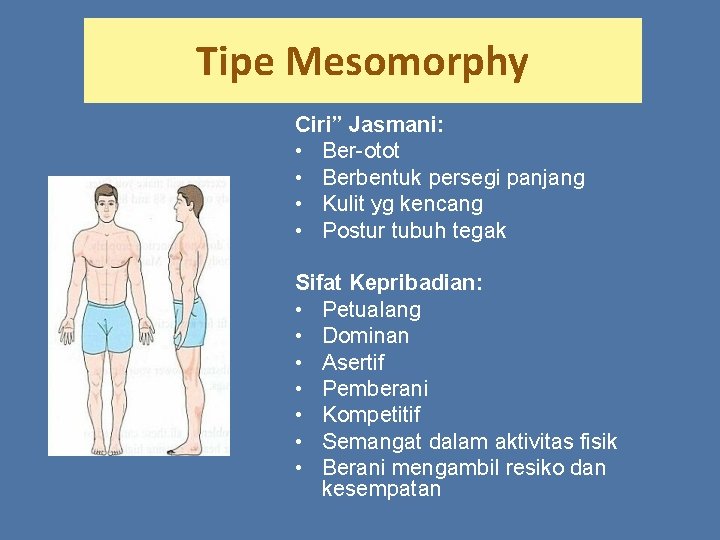 Tipe Mesomorphy Ciri” Jasmani: • Ber-otot • Berbentuk persegi panjang • Kulit yg kencang