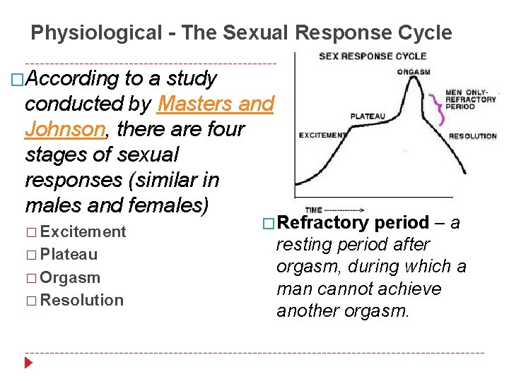 Physiological - The Sexual Response Cycle �According to a study conducted by Masters and