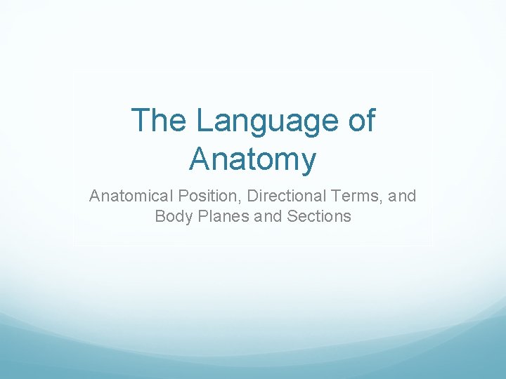 The Language of Anatomy Anatomical Position, Directional Terms, and Body Planes and Sections 