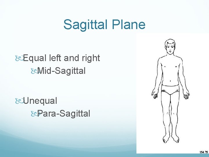 Sagittal Plane Equal left and right Mid-Sagittal Unequal Para-Sagittal 