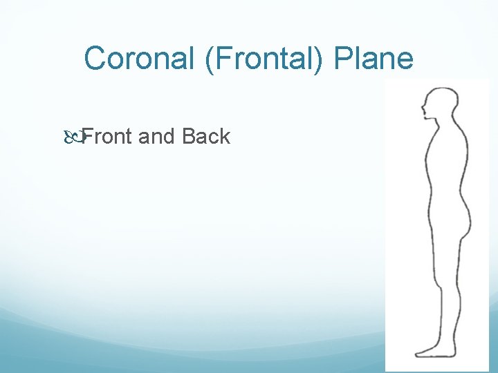 Coronal (Frontal) Plane Front and Back 