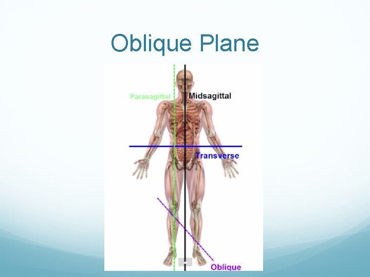 Oblique Plane 