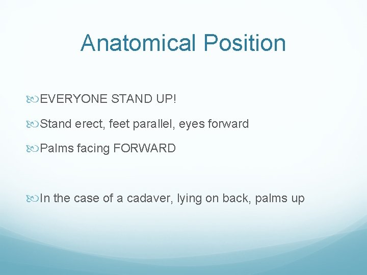 Anatomical Position EVERYONE STAND UP! Stand erect, feet parallel, eyes forward Palms facing FORWARD