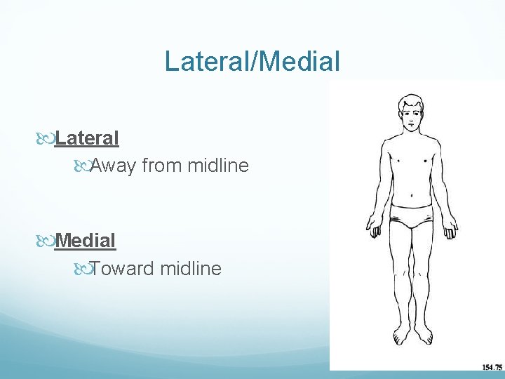 Lateral/Medial Lateral Away from midline Medial Toward midline 
