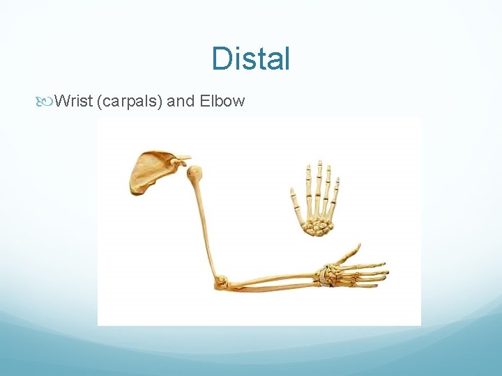 Distal Wrist (carpals) and Elbow 