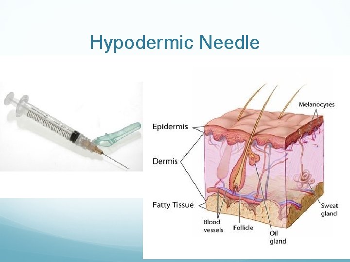 Hypodermic Needle 