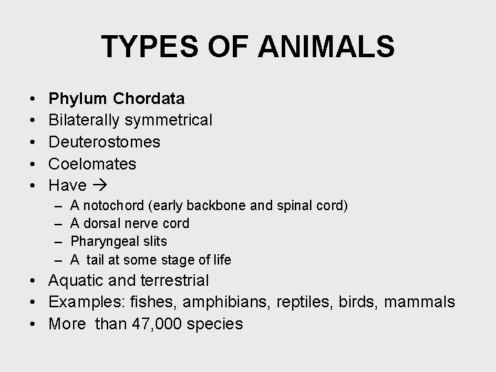 TYPES OF ANIMALS • • • Phylum Chordata Bilaterally symmetrical Deuterostomes Coelomates Have –