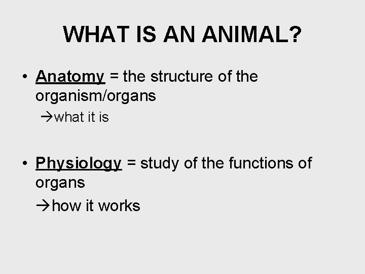 WHAT IS AN ANIMAL? • Anatomy = the structure of the organism/organs what it