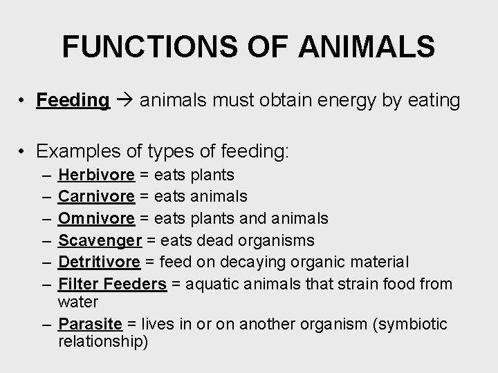 FUNCTIONS OF ANIMALS • Feeding animals must obtain energy by eating • Examples of