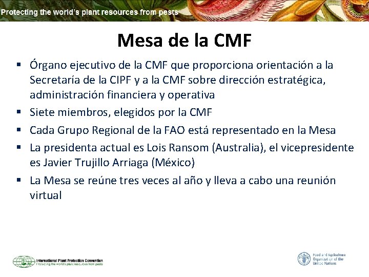 Mesa de la CMF § Órgano ejecutivo de la CMF que proporciona orientación a