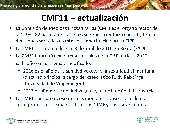 CMF 11 – actualización § La Comisión de Medidas Fitosanitarias (CMF) es el órgano
