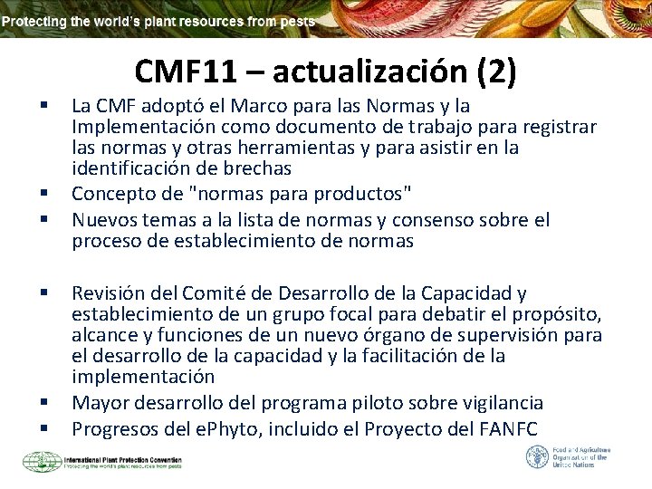 § § § CMF 11 – actualización (2) La CMF adoptó el Marco para