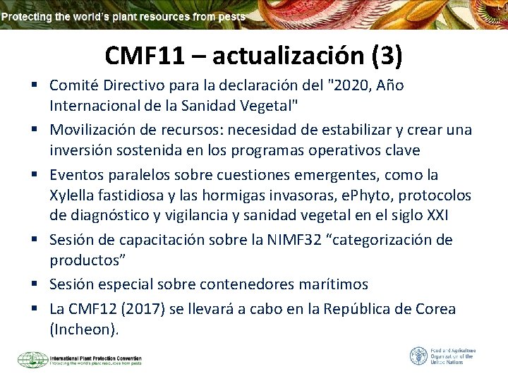 CMF 11 – actualización (3) § Comité Directivo para la declaración del "2020, Año