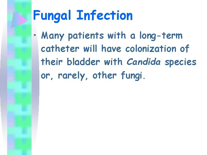 Fungal Infection • Many patients with a long-term catheter will have colonization of their