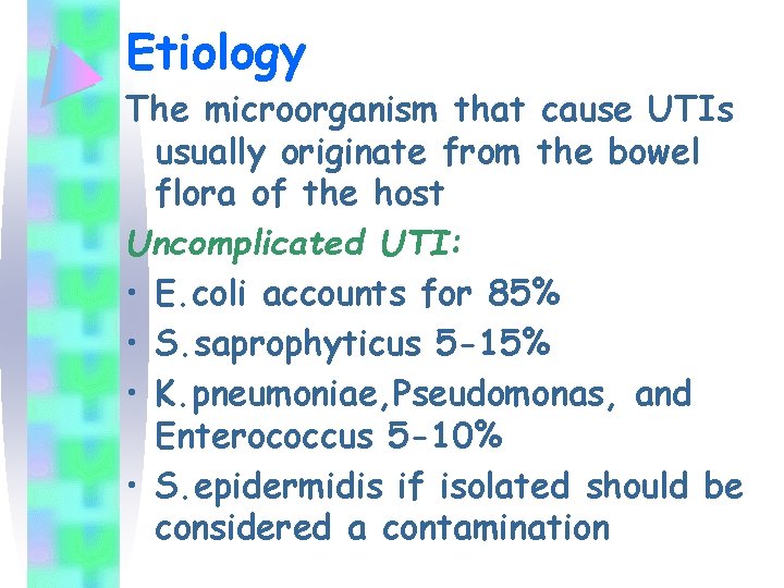 Etiology The microorganism that cause UTIs usually originate from the bowel flora of the