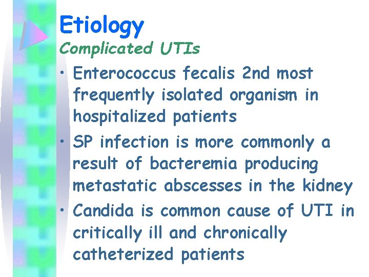 Etiology Complicated UTIs • Enterococcus fecalis 2 nd most frequently isolated organism in hospitalized