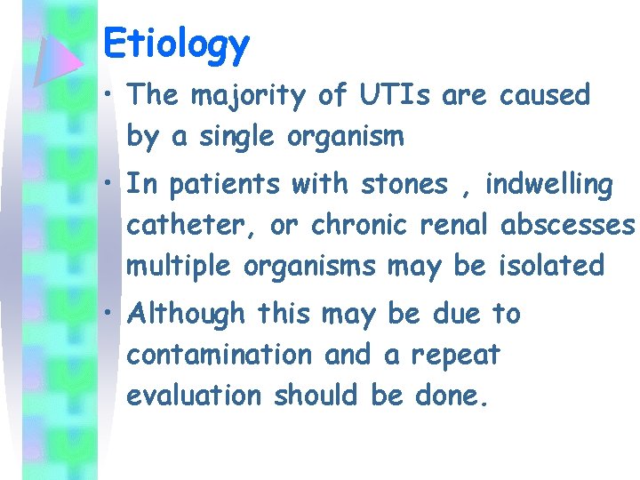 Etiology • The majority of UTIs are caused by a single organism • In