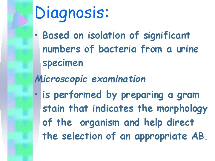 Diagnosis: • Based on isolation of significant numbers of bacteria from a urine specimen