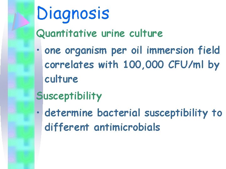 Diagnosis Quantitative urine culture • one organism per oil immersion field correlates with 100,