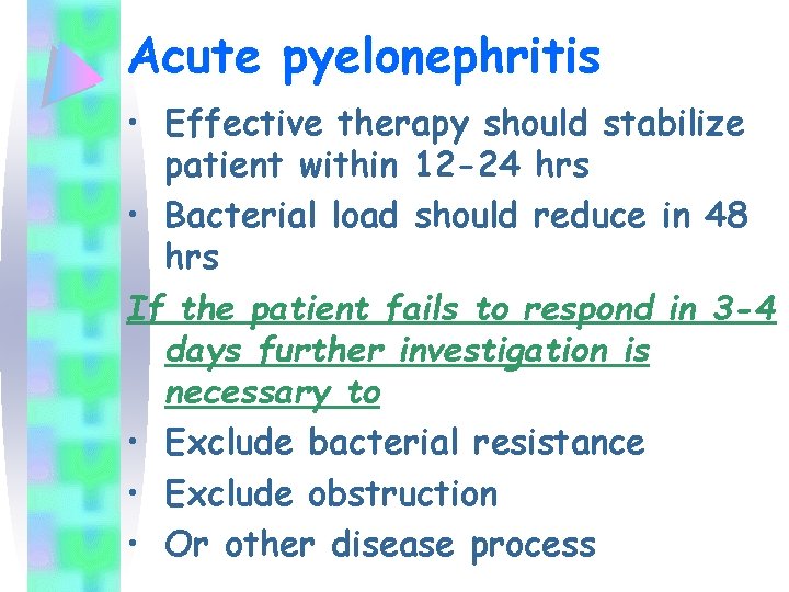 Acute pyelonephritis • Effective therapy should stabilize patient within 12 -24 hrs • Bacterial