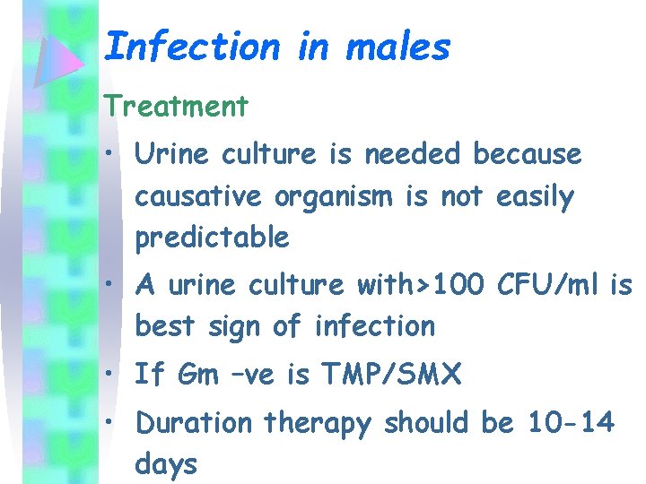 Infection in males Treatment • Urine culture is needed because causative organism is not