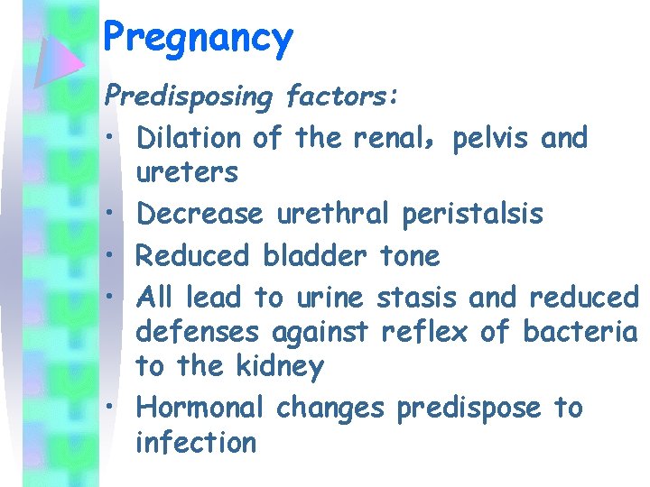 Pregnancy Predisposing factors: • Dilation of the renal，pelvis and ureters • Decrease urethral peristalsis