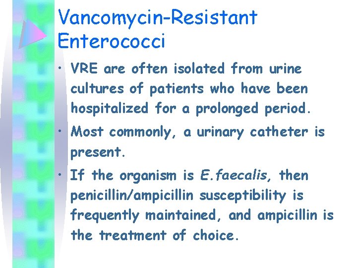 Vancomycin-Resistant Enterococci • VRE are often isolated from urine cultures of patients who have