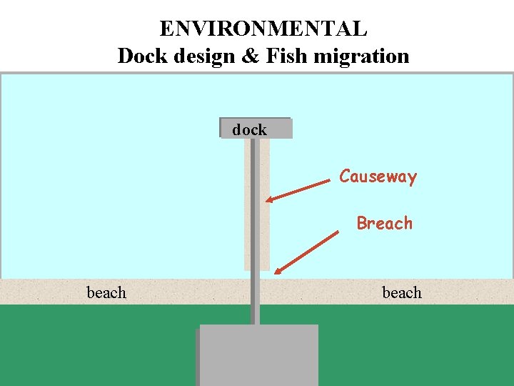 ENVIRONMENTAL Dock design & Fish migration dock Causeway Breach beach 