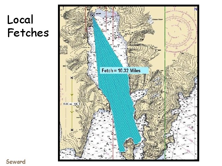 Local Fetches Seward 