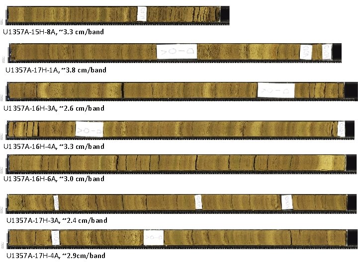 U 1357 A-15 H-8 A, ~3. 3 cm/band U 1357 A-17 H-1 A, ~3.