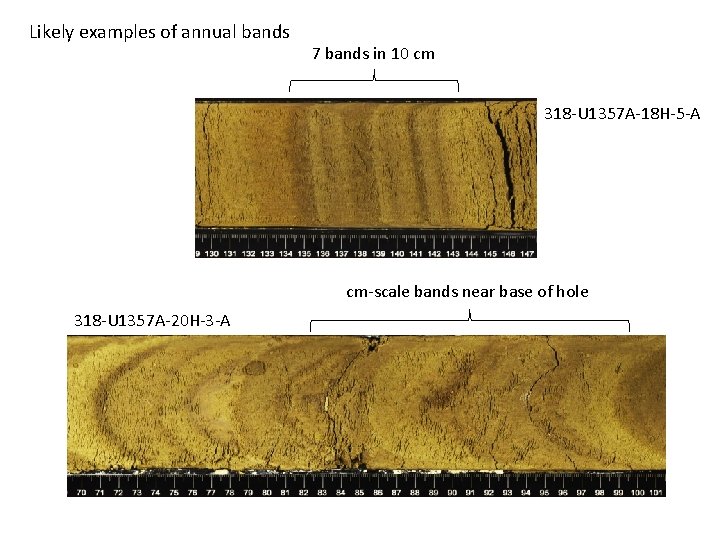 Likely examples of annual bands 7 bands in 10 cm 318 -U 1357 A-18
