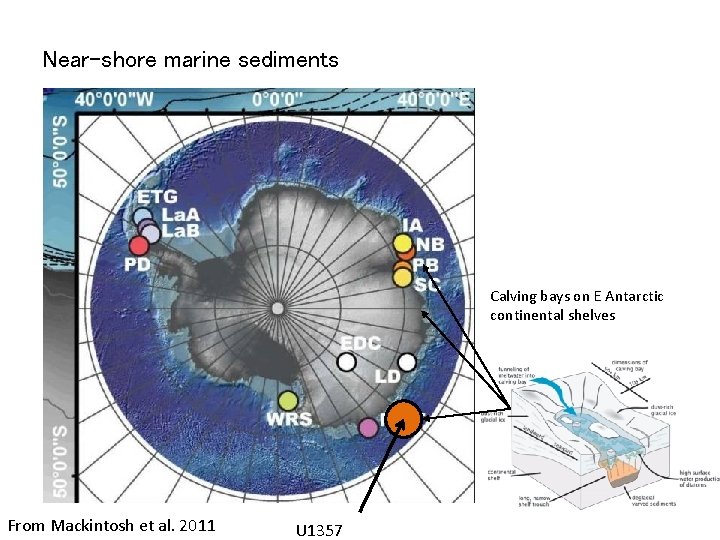 Near-shore marine sediments Calving bays on E Antarctic continental shelves From Mackintosh et al.