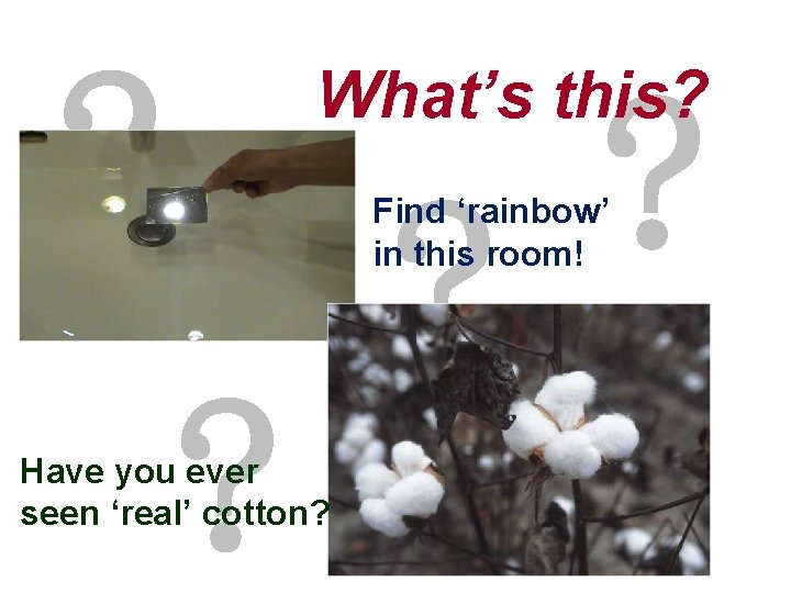 ? What’s this? ? ? Find ‘rainbow’ in this room! ? Have you ever