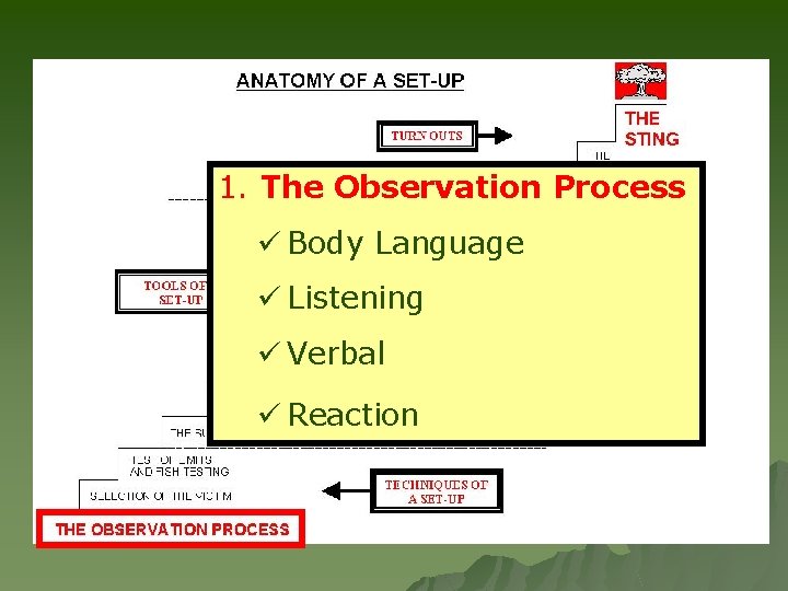 1. The Observation Process ü Body Language ü Listening ü Verbal ü Reaction 