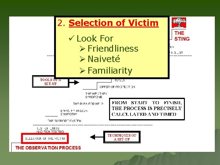 2. Selection of Victim ü Look For Ø Friendliness Ø Naiveté Ø Familiarity 