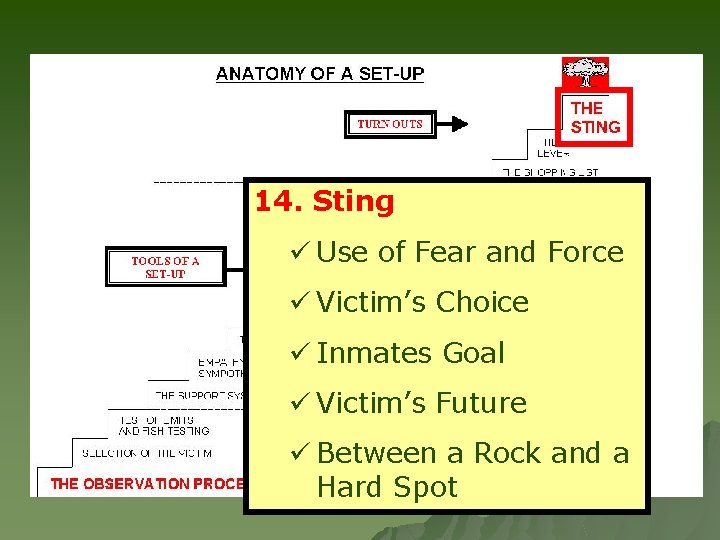 14. Sting ü Use of Fear and Force ü Victim’s Choice ü Inmates Goal