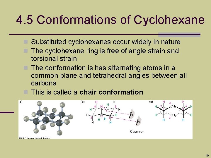 4. 5 Conformations of Cyclohexane n Substituted cyclohexanes occur widely in nature n The