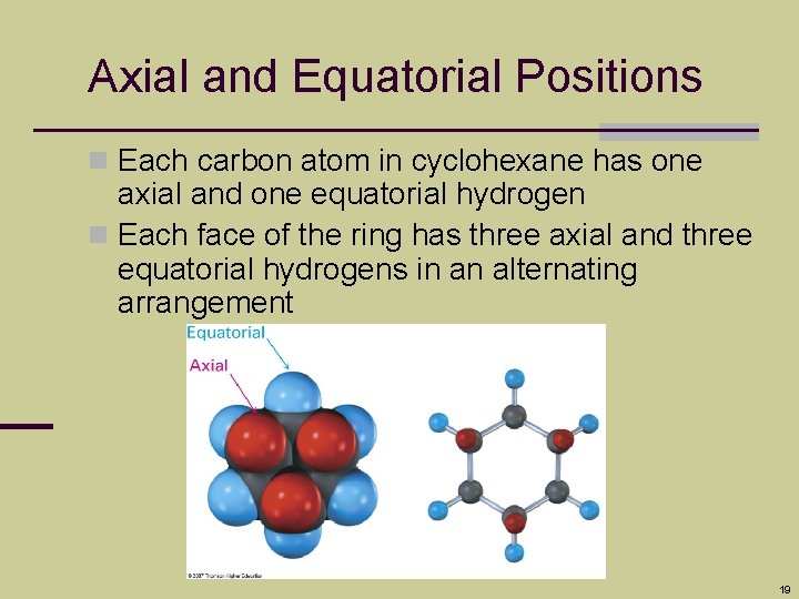 Axial and Equatorial Positions n Each carbon atom in cyclohexane has one axial and