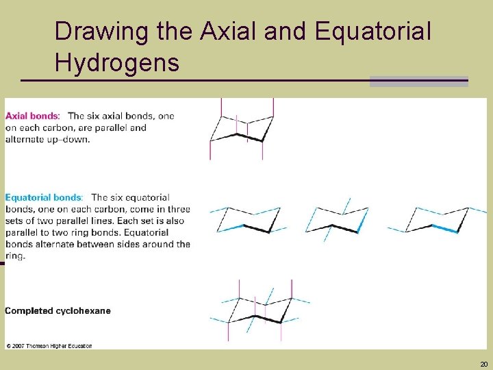 Drawing the Axial and Equatorial Hydrogens 20 