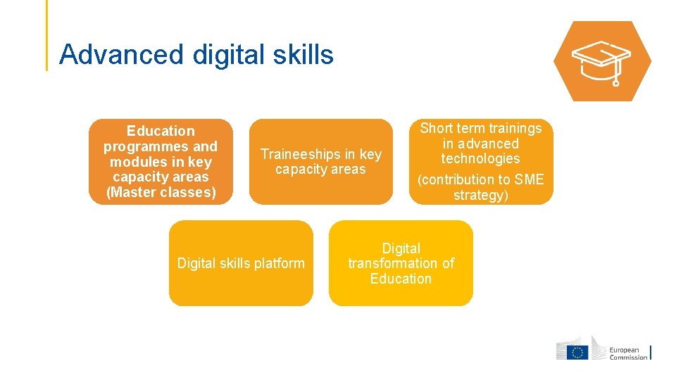 Advanced digital skills Education programmes and modules in key capacity areas (Master classes) Traineeships