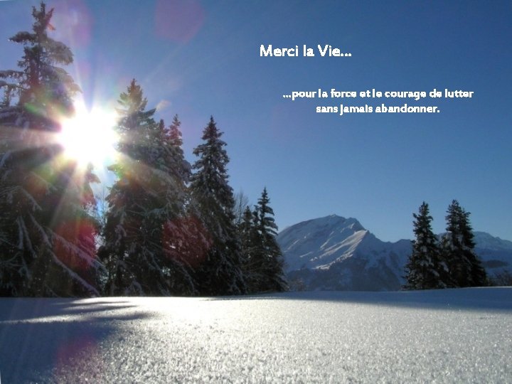 Merci la Vie… …pour la force et le courage de lutter sans jamais abandonner.