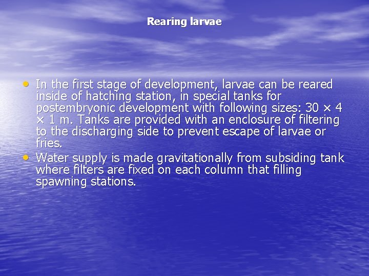 Rearing larvae • In the first stage of development, larvae can be reared •