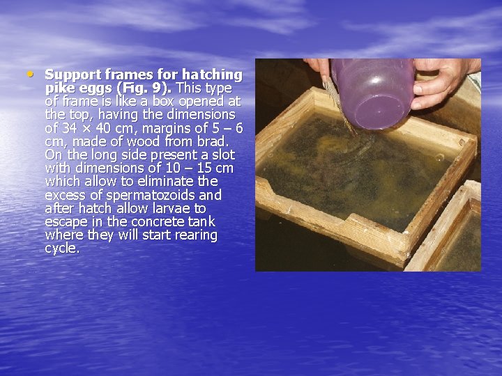  • Support frames for hatching pike eggs (Fig. 9). This type of frame