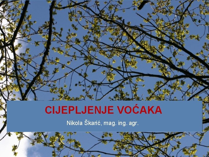 CIJEPLJENJE VOĆAKA Nikola Škarić, mag. ing. agr. 