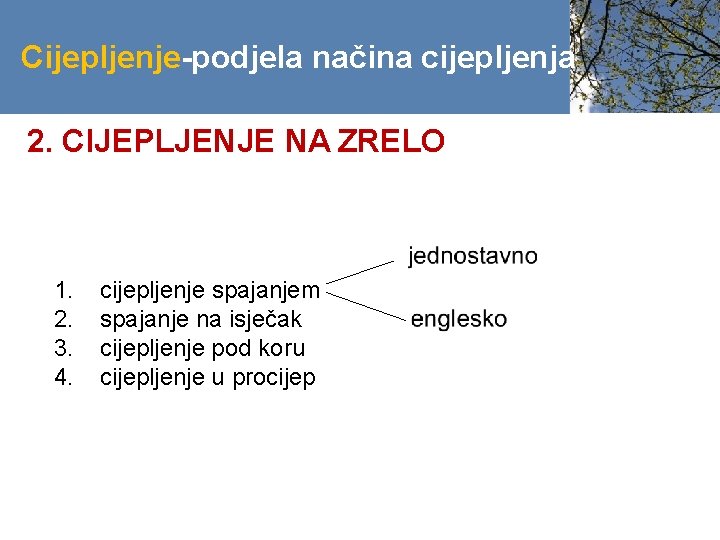 Cijepljenje-podjela načina cijepljenja 2. CIJEPLJENJE NA ZRELO 1. 2. 3. 4. cijepljenje spajanjem spajanje