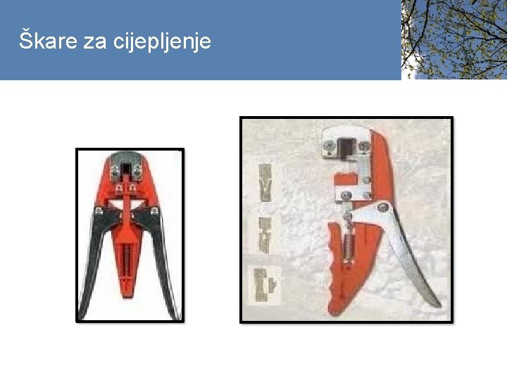 Škare za cijepljenje 