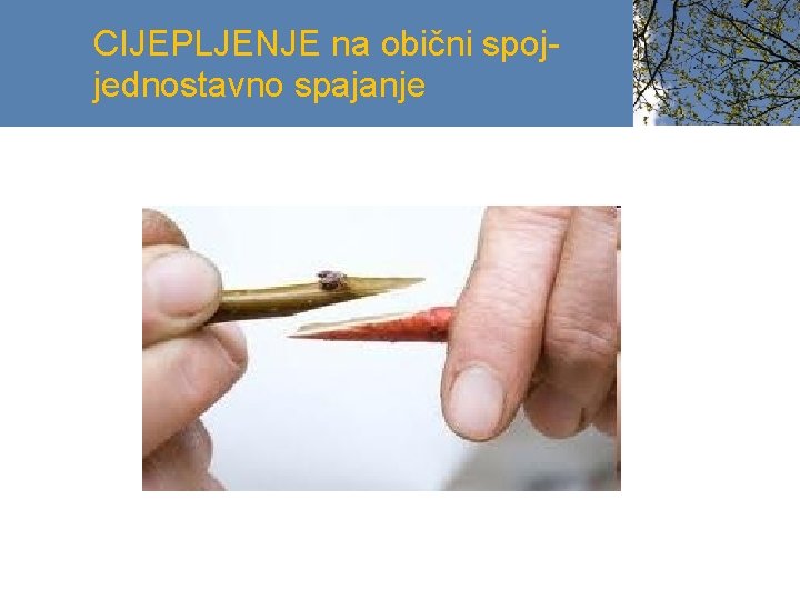 CIJEPLJENJE na obični spojjednostavno spajanje 